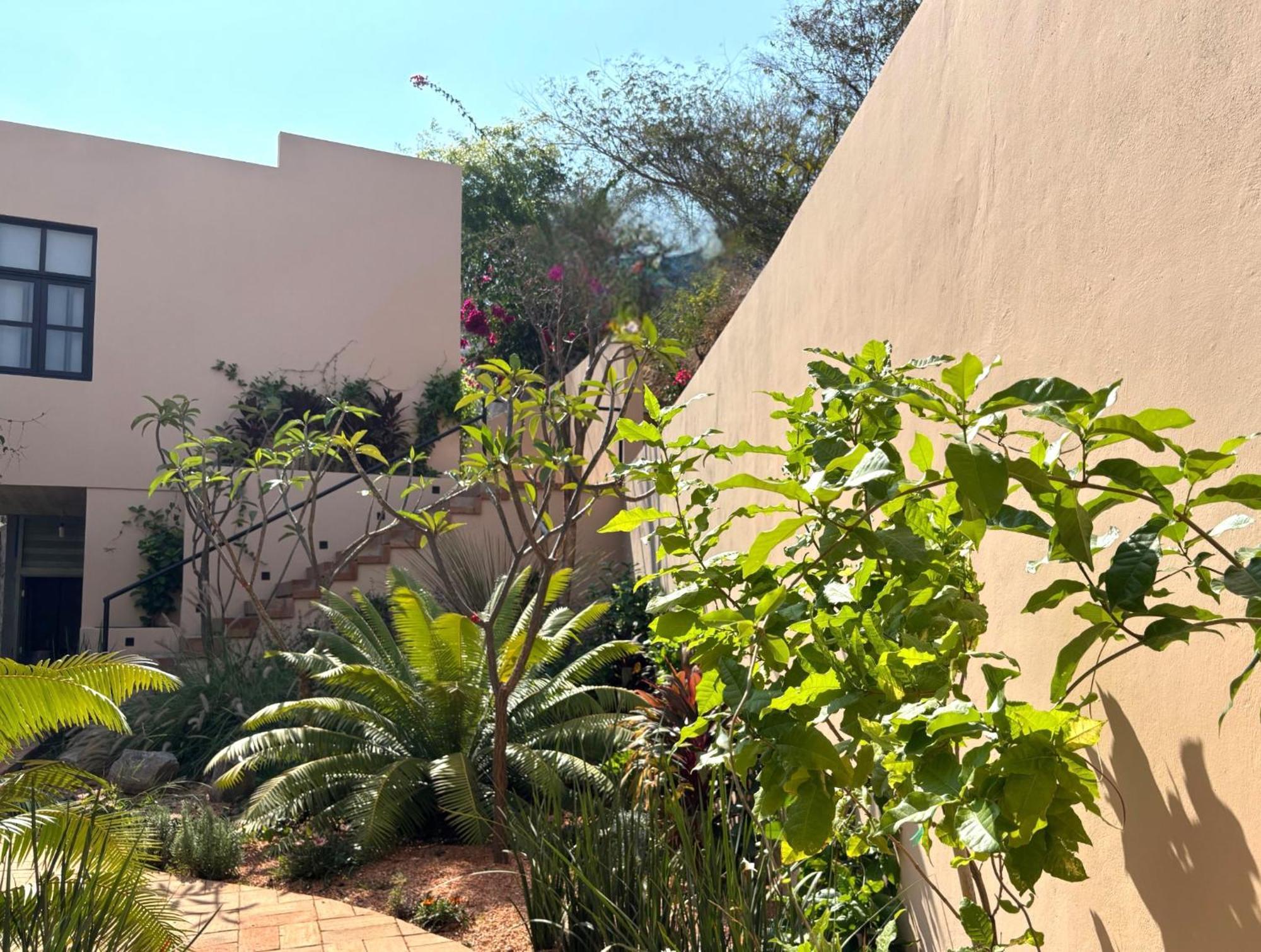 Casa Las Almas Mazunte Kültér fotó